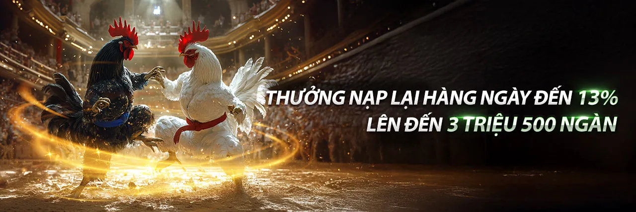 Khuyến mãi SB88 hấp dẫn với thưởng nạp 100% cho thành viên mới