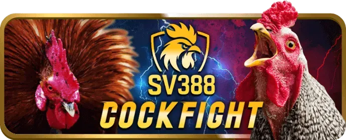 Trực tiếp trường gà Campuchia trên SB88 live
