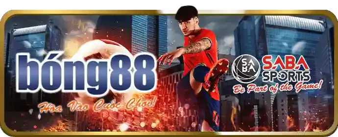 Đá gà Philippines tại nhà cái sb88